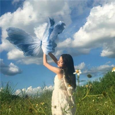 仇恨谜林